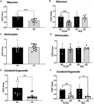 Cell type and sex specific mitochondrial phenotypes in iPSC derived models of Alzheimer’s disease